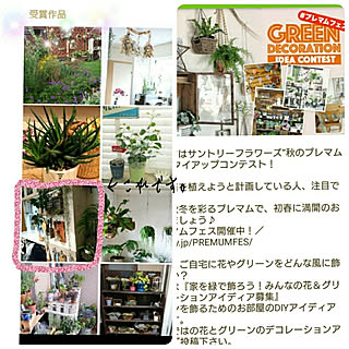 棚/植物と暮らす/indoorgreen/植物と雑貨で楽しむインテリア/インドアグリーン...などのインテリア実例 - 2017-11-15 21:07:08