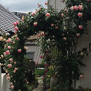 玄関/入り口/薔薇の庭をめざしてのインテリア実例 - 2016-05-12 12:08:03