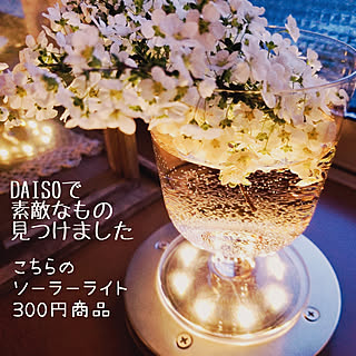 壁/天井/100均大好き/ゆきやなぎ/お花のある暮らし/植物のある暮らし...などのインテリア実例 - 2022-03-26 13:17:15