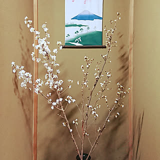 部屋全体/桜/啓翁桜/お花のある暮らし/さくら...などのインテリア実例 - 2019-03-11 20:14:25