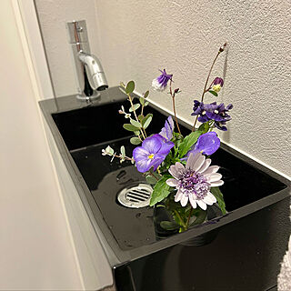 春の花/庭の花/バス/トイレ/トイレの手洗いシンクのインテリア実例 - 2022-04-03 17:37:53