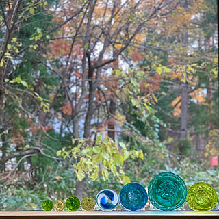 季節を感じる窓/ロンデル/ガラスが好き/FIX/アートギャラリー...などのインテリア実例 - 2020-11-08 20:09:44