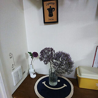 キッチン/マンション/DIYカウンター棚/お花のある暮らしのインテリア実例 - 2021-05-10 22:38:26