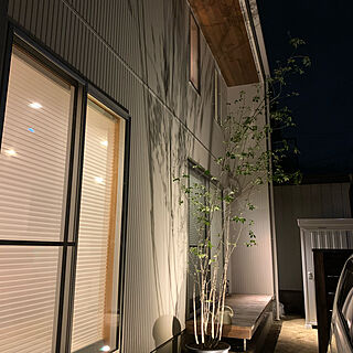 外壁に樹影/白い家/アオダモの木/壁/天井/ウッドロングエコ 塗装...などのインテリア実例 - 2020-09-16 22:21:21
