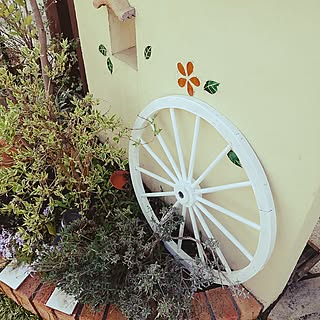 玄関/入り口/お気遣いに感謝/花のある暮らし/植物のある暮らし/拙いコメントゴメン(>_<)ゞ...などのインテリア実例 - 2017-05-06 09:46:44