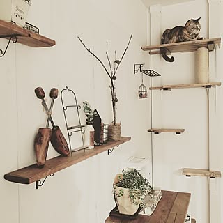 木の枝のおしゃれなアレンジ 飾り方のインテリア実例 Roomclip ルームクリップ