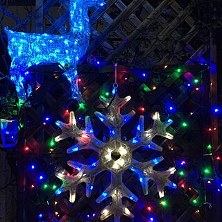 クリスマスイルミネーション/夜のインテリア実例 - 2015-12-03 15:03:31