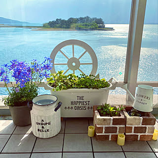 玄関 入り口 デルフィニウムのインテリア実例 Roomclip ルームクリップ 玄関 入り口 デルフィニウムのインテリア実例 Roomclip ルームクリップ