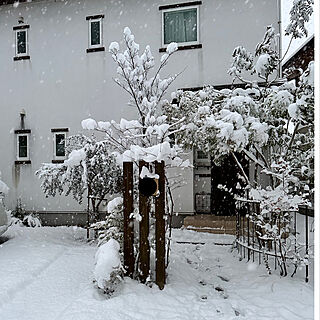 雪が降った/雪/玄関/入り口のインテリア実例 - 2022-12-23 08:21:45