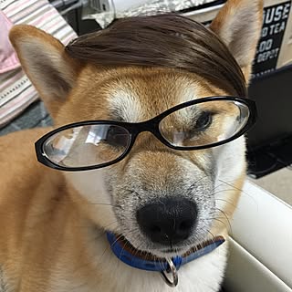 kotaさんの実例写真