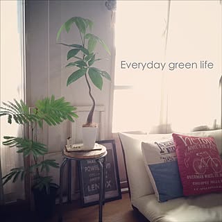 リビング/団地　賃貸/NO GREEN NO LIFE/賃貸でも楽しく♪/団地...などのインテリア実例 - 2015-05-18 16:51:51