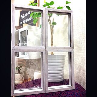 キッチン/ベンジャミン/植物/DIY/窓枠風...などのインテリア実例 - 2013-08-23 02:13:26