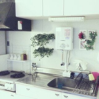 キッチン/IKEA/100均/手作り/DIYのインテリア実例 - 2012-12-18 00:20:36