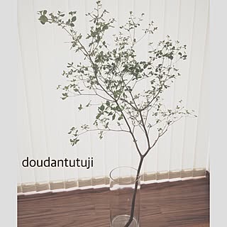 切り枝のインテリア実例 Roomclip ルームクリップ