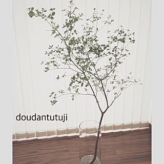 切り枝/植物/枝物/北欧テイスト/北欧インテリア...などのインテリア実例 - 2015-06-27 00:47:09