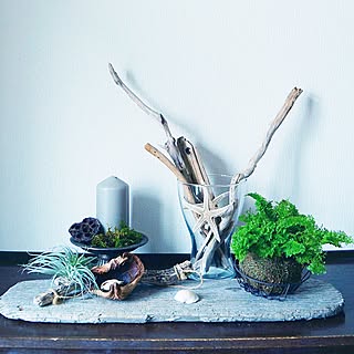 玄関/入り口/流木/植物のある部屋/NO GREEN NO LIFE/ディスプレイ...などのインテリア実例 - 2015-06-09 08:40:44