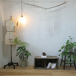 植物/植物のある暮らし/NO GREEN NO LIFE/グリーンのある暮らし/インスタ→achipetit...などのインテリア実例 - 2016-05-11 20:05:00