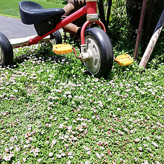 部屋全体/古っぽいの好き/アンティーク雑貨/さびさび雑貨/三輪車♪...などのインテリア実例 - 2019-06-11 11:33:10