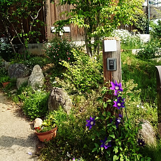 玄関 入り口 雑木林の庭のインテリア実例 Roomclip ルームクリップ