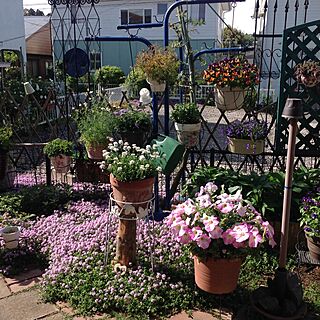 庭/手作りの庭/DIY/ガーデン二ングのインテリア実例 - 2016-05-01 21:17:37