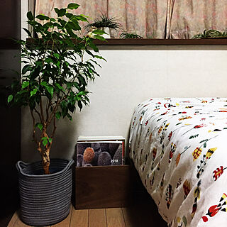 ベッド周り/植物/ニトリ/無印良品/IKEAのインテリア実例 - 2018-09-29 23:33:06