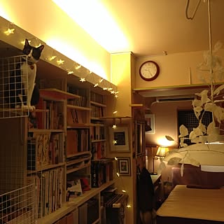 壁/天井/間接照明/DIY/IKEA/猫...などのインテリア実例 - 2014-08-04 22:51:50