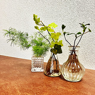 部屋全体/水耕栽培/小さな幸せを感じる生活/植物のある暮らし/小さな観葉植物...などのインテリア実例 - 2023-09-04 20:59:17