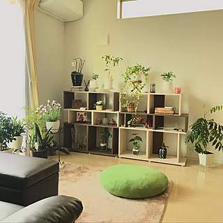 ガーデニング/flower/ナチュラルインテリア/GREEN LIFE/Myhome...などのインテリア実例 - 2019-05-04 17:18:44