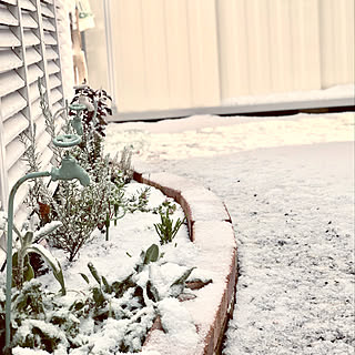 棚/手作り花壇/雪景色の庭のインテリア実例 - 2019-01-27 11:49:09