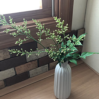 トイレの棚/南天の花の蕾/南天/花のある暮らし/季節の花...などのインテリア実例 - 2021-05-30 20:01:41