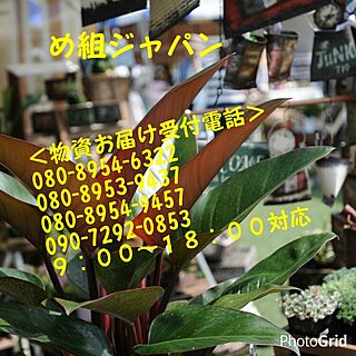 熊本地震/支援します/IG→RIESANKAMO /りえさんち/物資提供...などのインテリア実例 - 2016-04-21 21:00:10