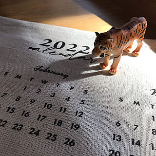 ディスプレイ/動物/飾り棚/置き物/カレンダー...などのインテリア実例 - 2022-01-01 22:31:10