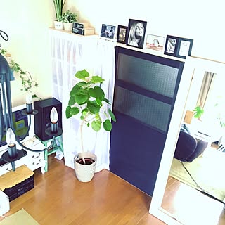 部屋全体/シャンデリア/ウンベラータ/床の色を変えたい/モノトーンの部屋...などのインテリア実例 - 2016-08-28 13:41:23