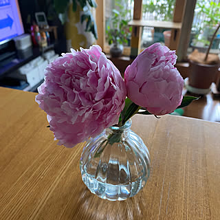 歩いて買い物/スーパーの花/今日は雨☂️/お花のある暮らし/机のインテリア実例 - 2023-05-23 13:28:35