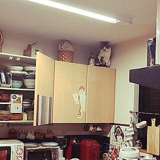 夕飯の用意/吊り戸棚の上の猫/レコルトエアーオーブンで夕食作り/レコルトエアーオーブン/ねこのいる風景...などのインテリア実例 - 2022-02-21 20:05:51