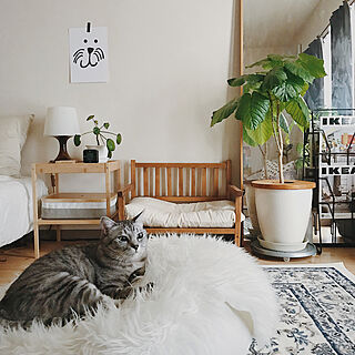 猫ベッド/DIY/ペットと暮らすインテリア/IKEA/ひとり暮らし...などのインテリア実例 - 2019-04-22 18:07:49