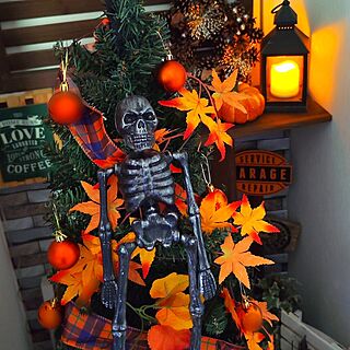 ハロウィン 骸骨のおしゃれなアレンジ・飾り方のインテリア実例