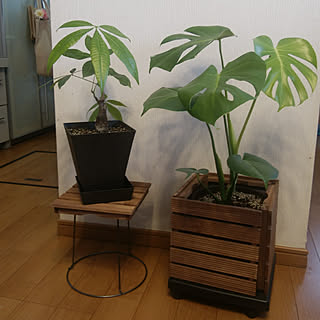 100均 花台diyのインテリア 手作りの実例 Roomclip ルームクリップ