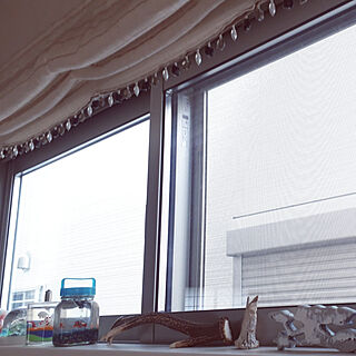 壁/天井/鹿の角/窓側ディスプレイのインテリア実例 - 2022-10-12 09:05:16