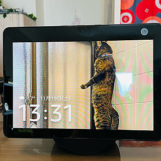 和傘柄の暖簾/Amazon Echo show10/アレクサのある暮らし/mohhaさんちのジョン/mohhaさんちのキジトラちゃん...などのインテリア実例 - 2022-11-19 13:39:17