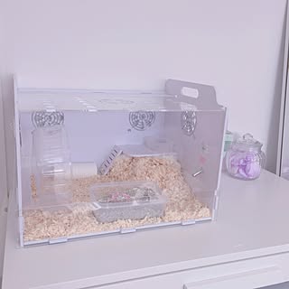 フラワーペタルのインテリア実例 Roomclip ルームクリップ