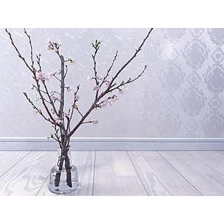 リビング/フラワーベース/桜/桜の枝/花のある暮らし...などのインテリア実例 - 2017-03-10 13:59:07