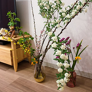 花瓶 ネコヤナギのおしゃれなアレンジ 飾り方のインテリア実例 Roomclip ルームクリップ