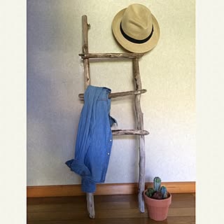 部屋全体/流木チャレンジ/ラダーＤIY/流木/流木ラダー...などのインテリア実例 - 2015-08-22 09:46:52