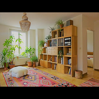 棚/ラグ/IKEA/本棚/観葉植物...などのインテリア実例 - 2018-10-21 06:13:15