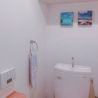 富士フイルムウォールデコ/新婚旅行の思い出/トイレの壁/分譲賃貸/夫婦二人暮らし...などのインテリア実例 - 2020-04-25 15:46:12