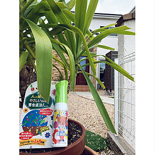 土にまくだけ害虫退治オールスター/アースガーデン/害虫対策/植物のある暮らし/ガーデニング...などのインテリア実例 - 2020-04-23 15:14:25