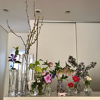 ナチュラルキッチン/ガラスの花器/植物のある暮らし/無印良品の家/いいね&フォローありがとうございます☆...などのインテリア実例 - 2021-03-26 17:07:13