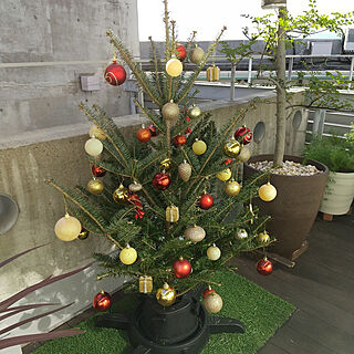 玄関/入り口/クリスマス/IKEA/IKEAもみの木/クリスマスツリーのインテリア実例 - 2021-11-27 11:08:38