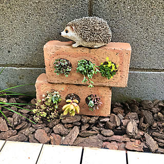 穴あきレンガ/セダム寄せ植え/多肉植物のある暮らし/いつも楽しませてもらってます/丁寧に暮らしたい...などのインテリア実例 - 2021-05-10 14:00:52